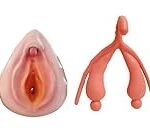 Analyse und Vergleich: Die besten Damenprodukte zur Linderung von Schwellungen der Vulva