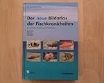 Die geheimnisvolle Verbindung zwischen Fischen und Krebsen: Eine vergleichende Analyse der besten Damenprodukte für sinnliche Momente